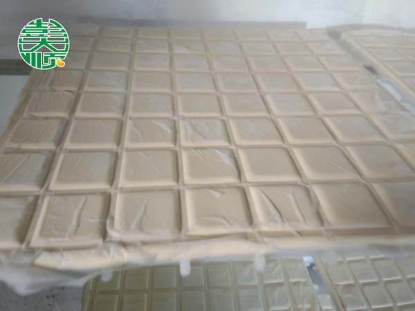 在技術(shù)人員指導(dǎo)下客戶(hù)作出來(lái)的水豆腐干
